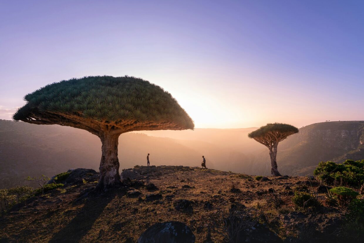 Socotra Island, Yemen