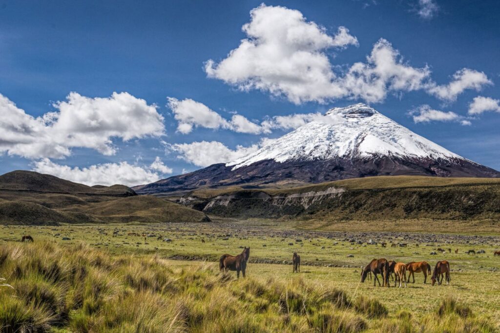 Cotopaxi, Ecuador