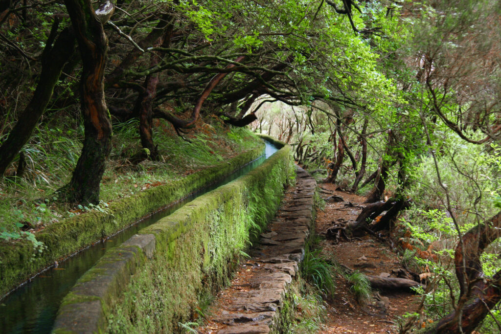 Levada das 25 Fontes, Madeira