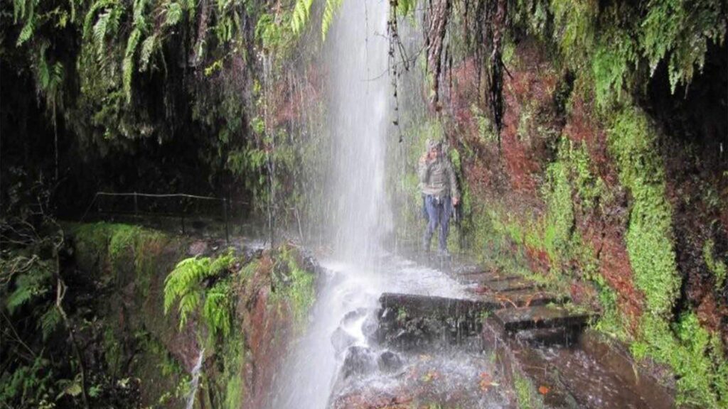 Levada do rei, Madeira