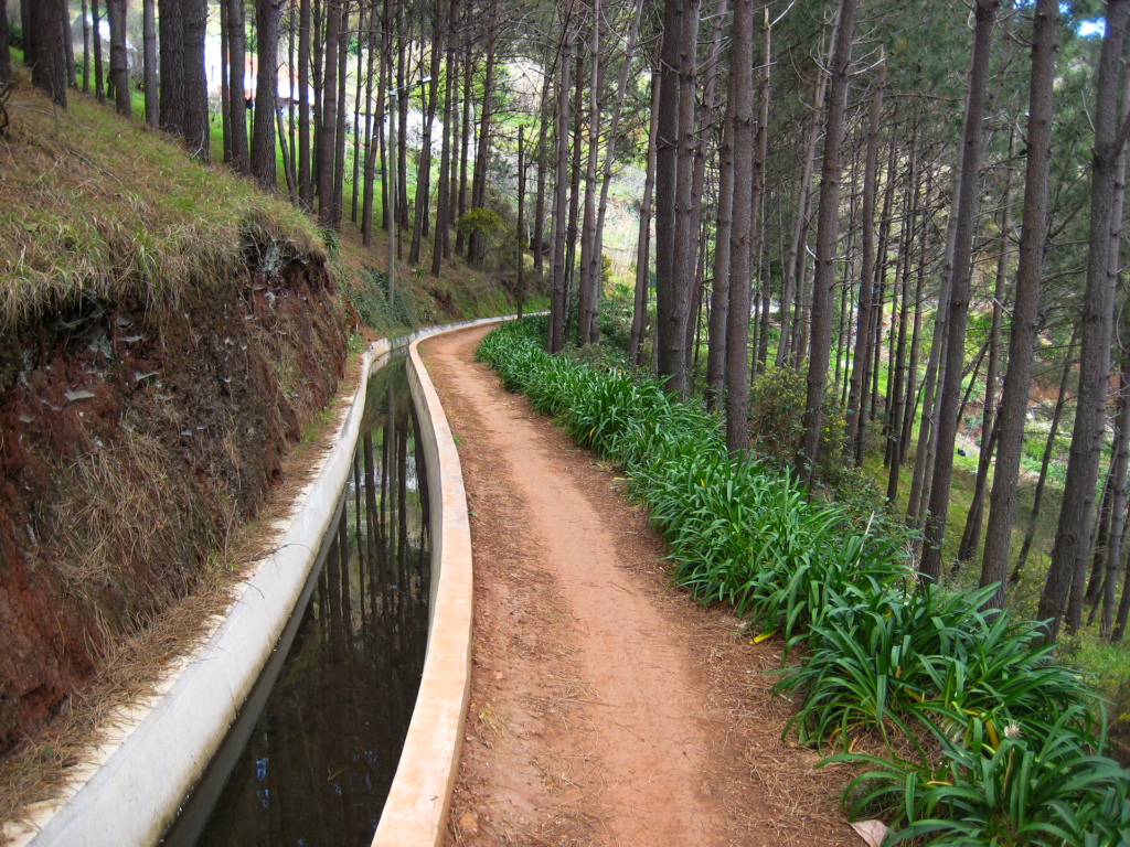 Levada dos Tornos to Monte, Madeira