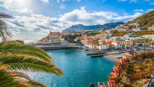 Poncha at Camara de Lobos