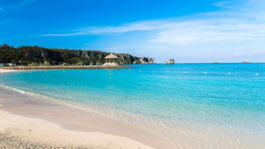 Okinawa Tour